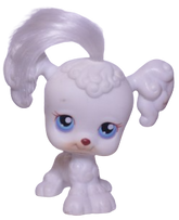 #0017 Poodle