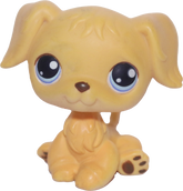 #0021 Golden Retriever