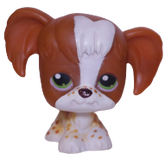 #0031 Spaniel