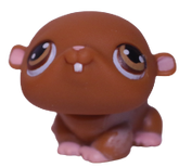#0035 Hamster