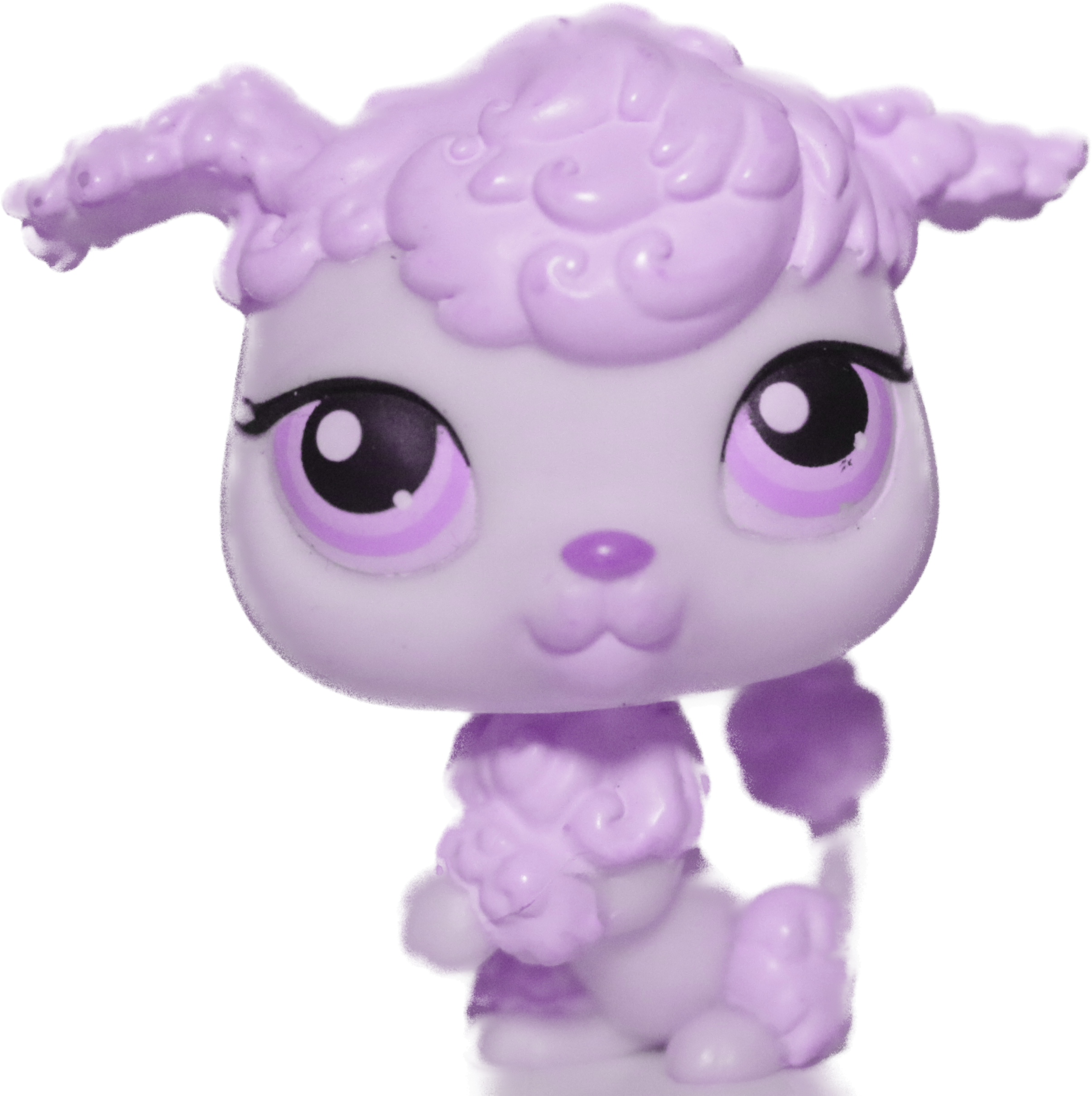 Custom Base: Poodle