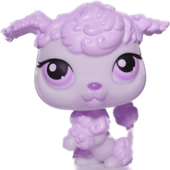 Custom Base: Poodle