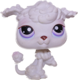 #0101 Poodle