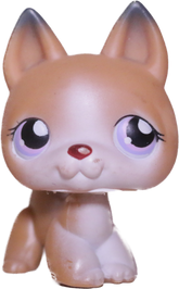 #0112 German Shepherd