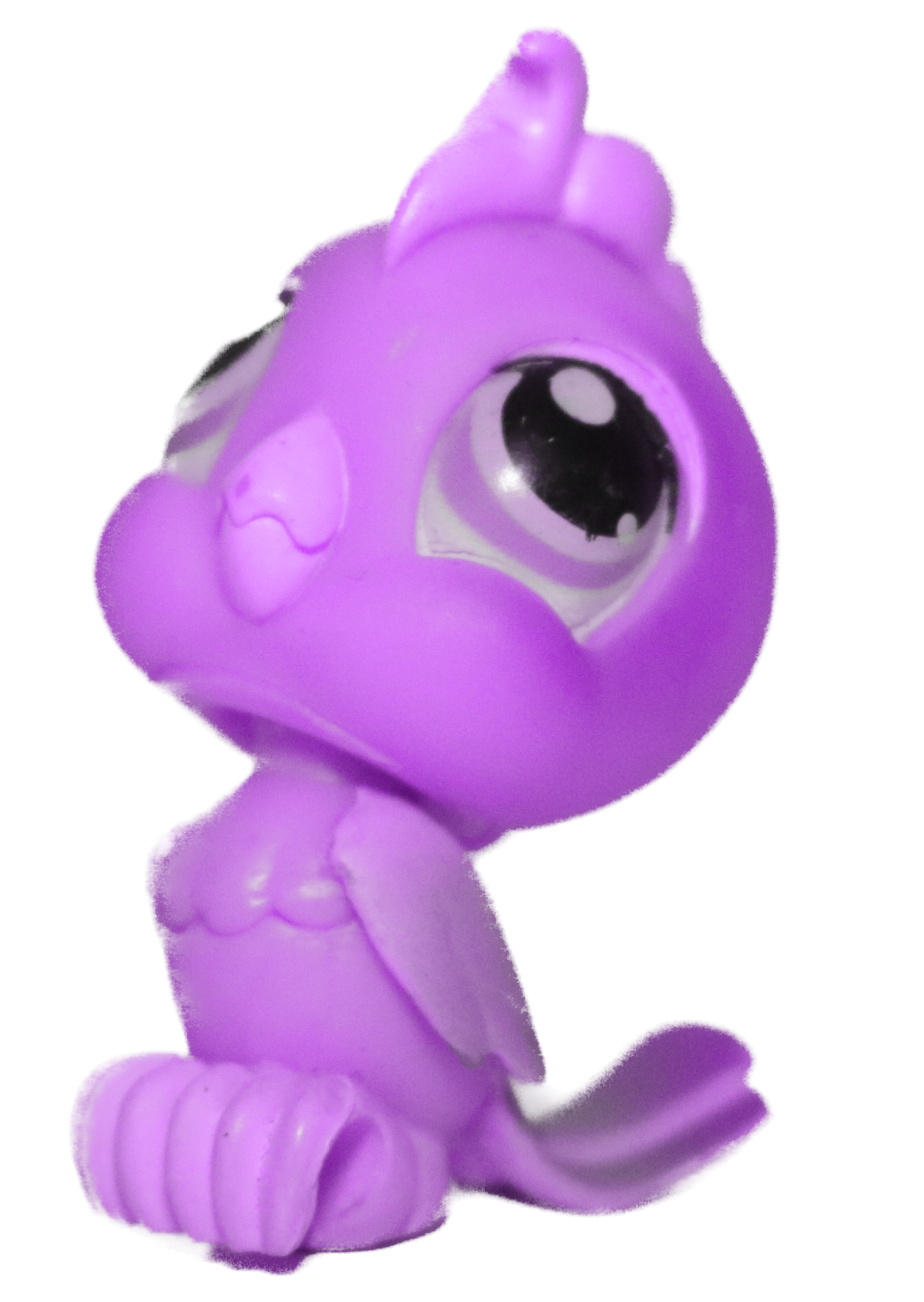 Custom Base: Cockatoo