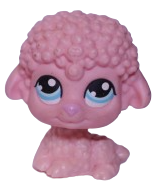 #0171 Sheep