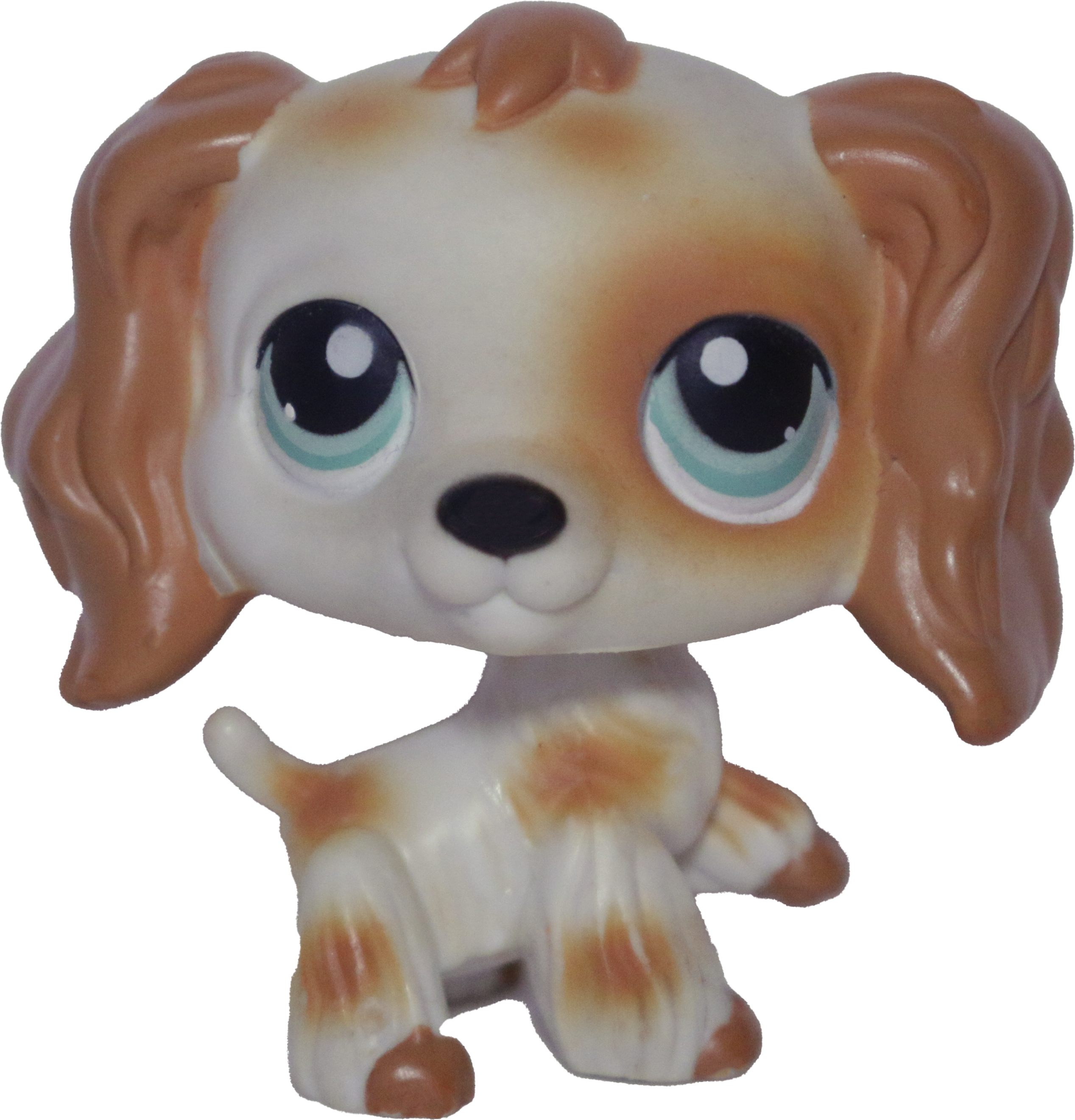 New lps cocker deals spaniel