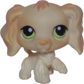 #0347 Cocker Spaniel