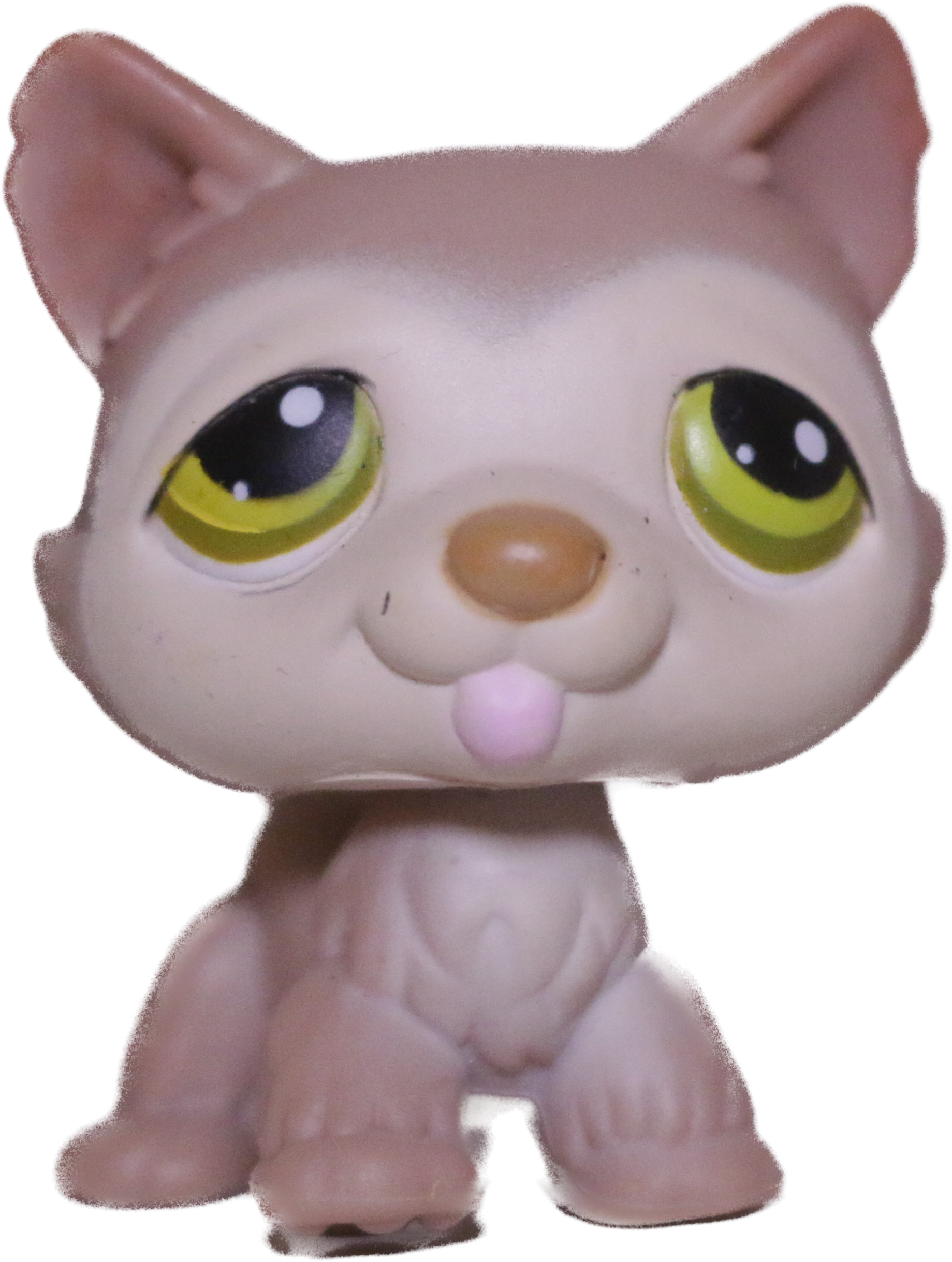 LPS #358 Husky 🐾 Authentic LPS at Littlest Brainrot