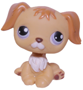 #0368 Golden Retriever