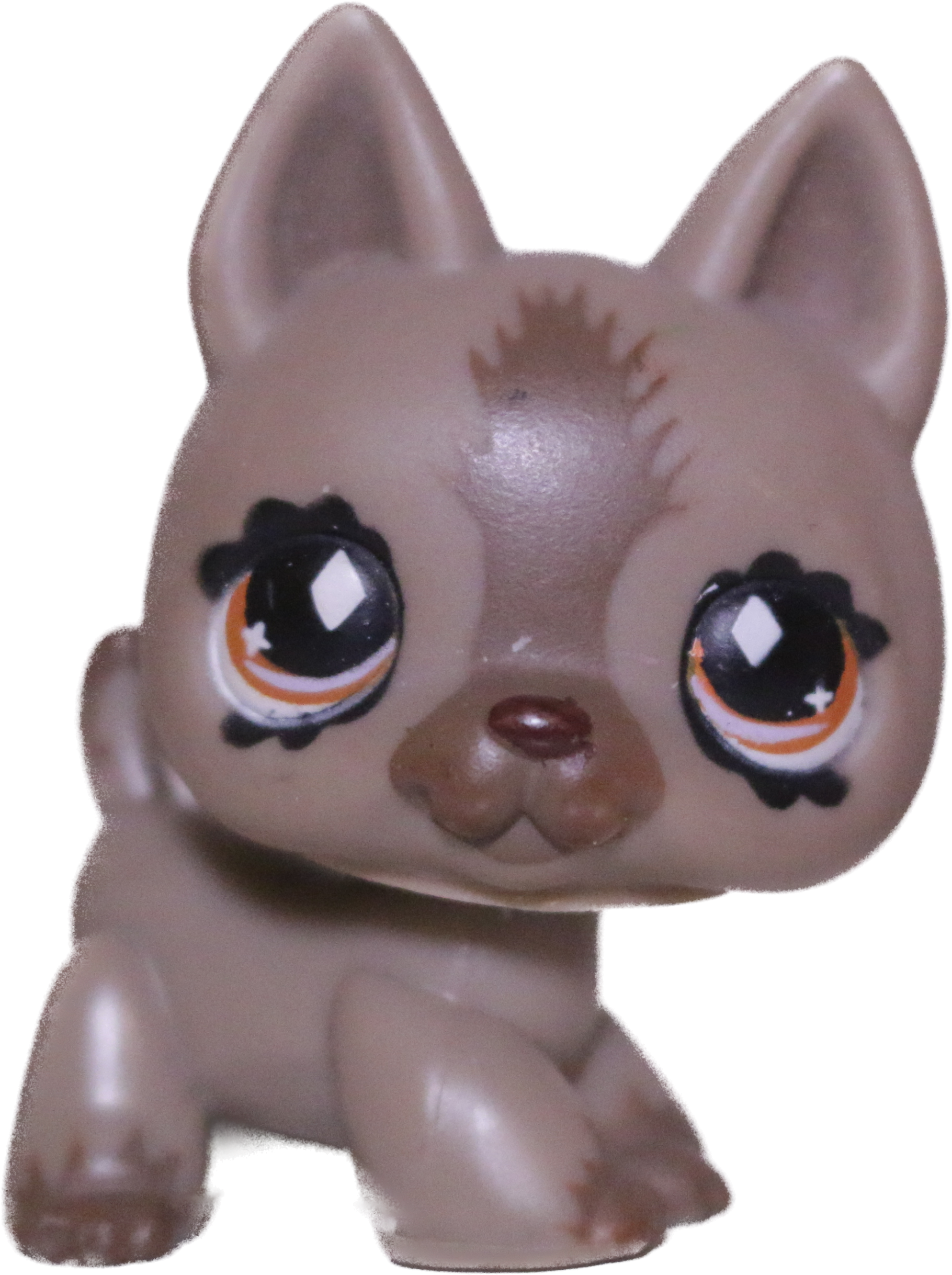 #0491 German Shepherd