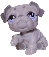#0508 Bulldog