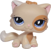 #0521 Sitting Persian Cat