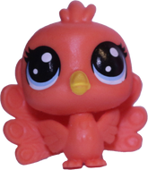 No # Mini Peacock "Juno"