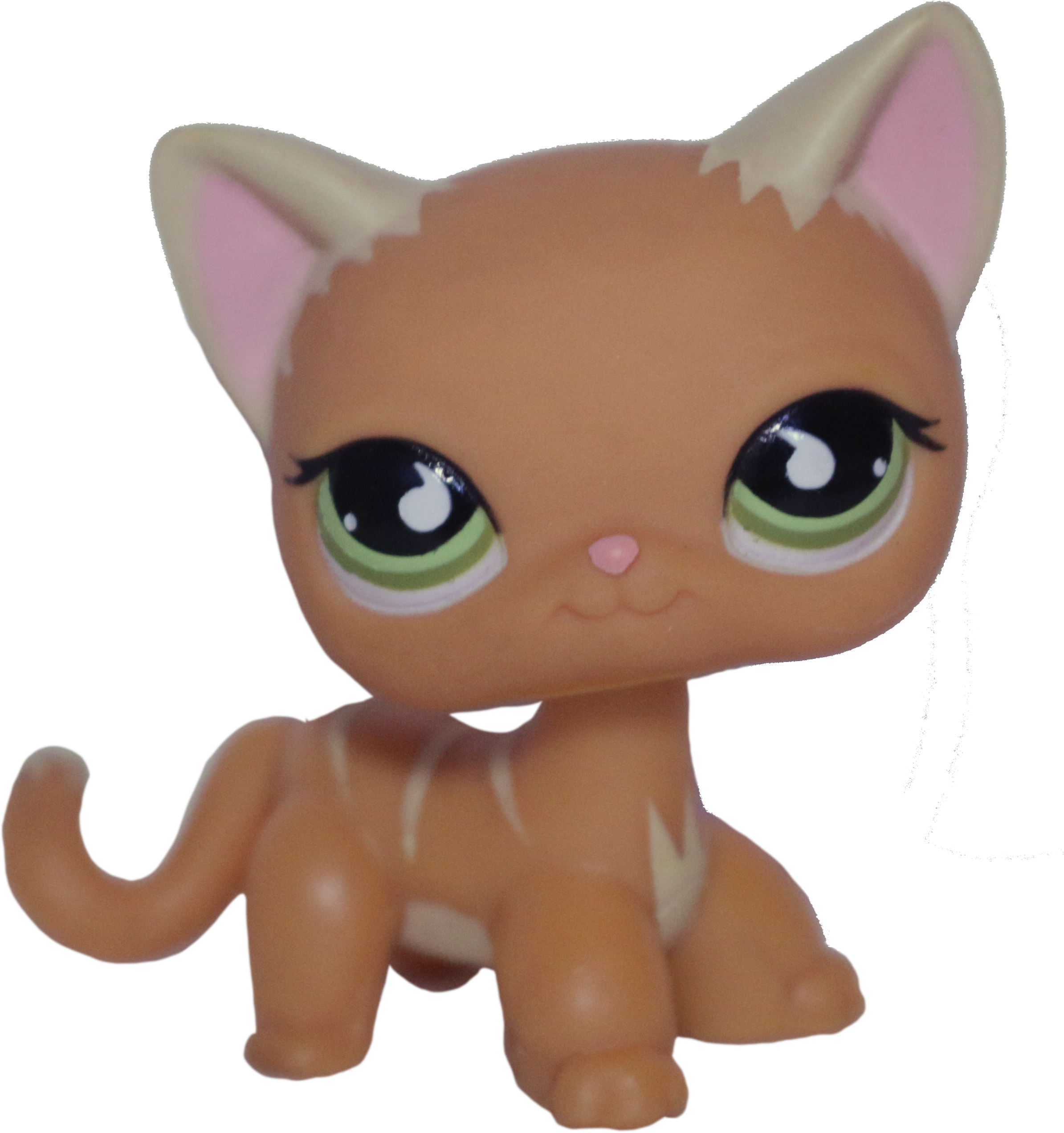 Shop Toys Littlest Pet Shop Shorthair Cat Numbers 5X Random LPS