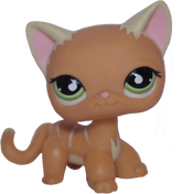 #0525/790 Shorthair Cat