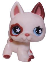 #0544 German Shepherd