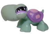 #0566 Turtle