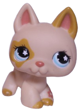 #0604 German Shepherd