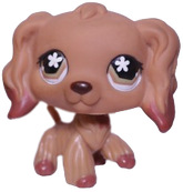 #0716 Cocker Spaniel