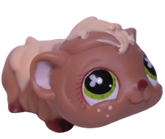 #0753 Guinea Pig