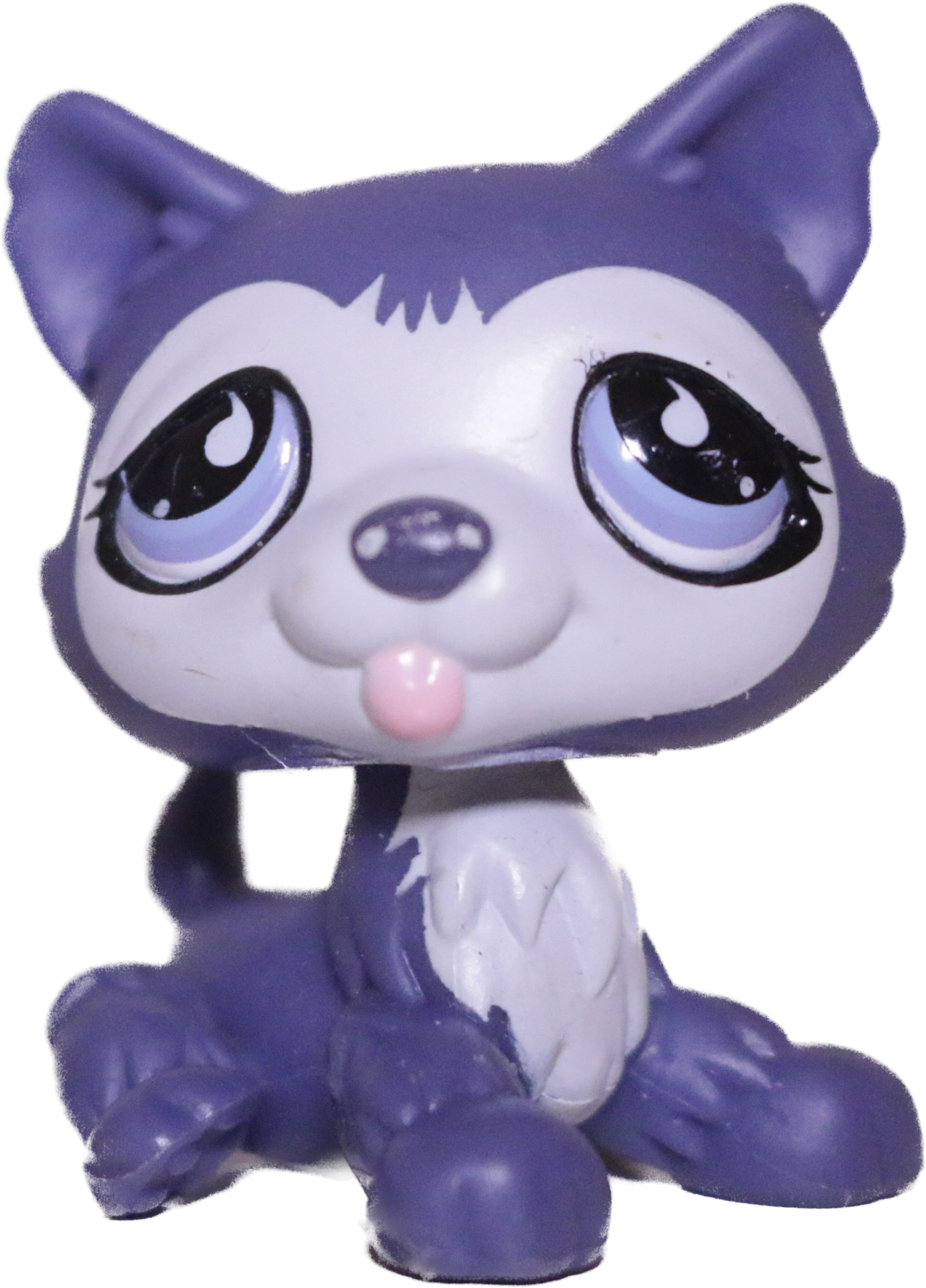Lps 2024 purple husky