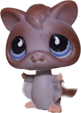 #0787/873 Sugar Glider