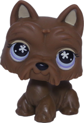 #0789 Scottish Terrier