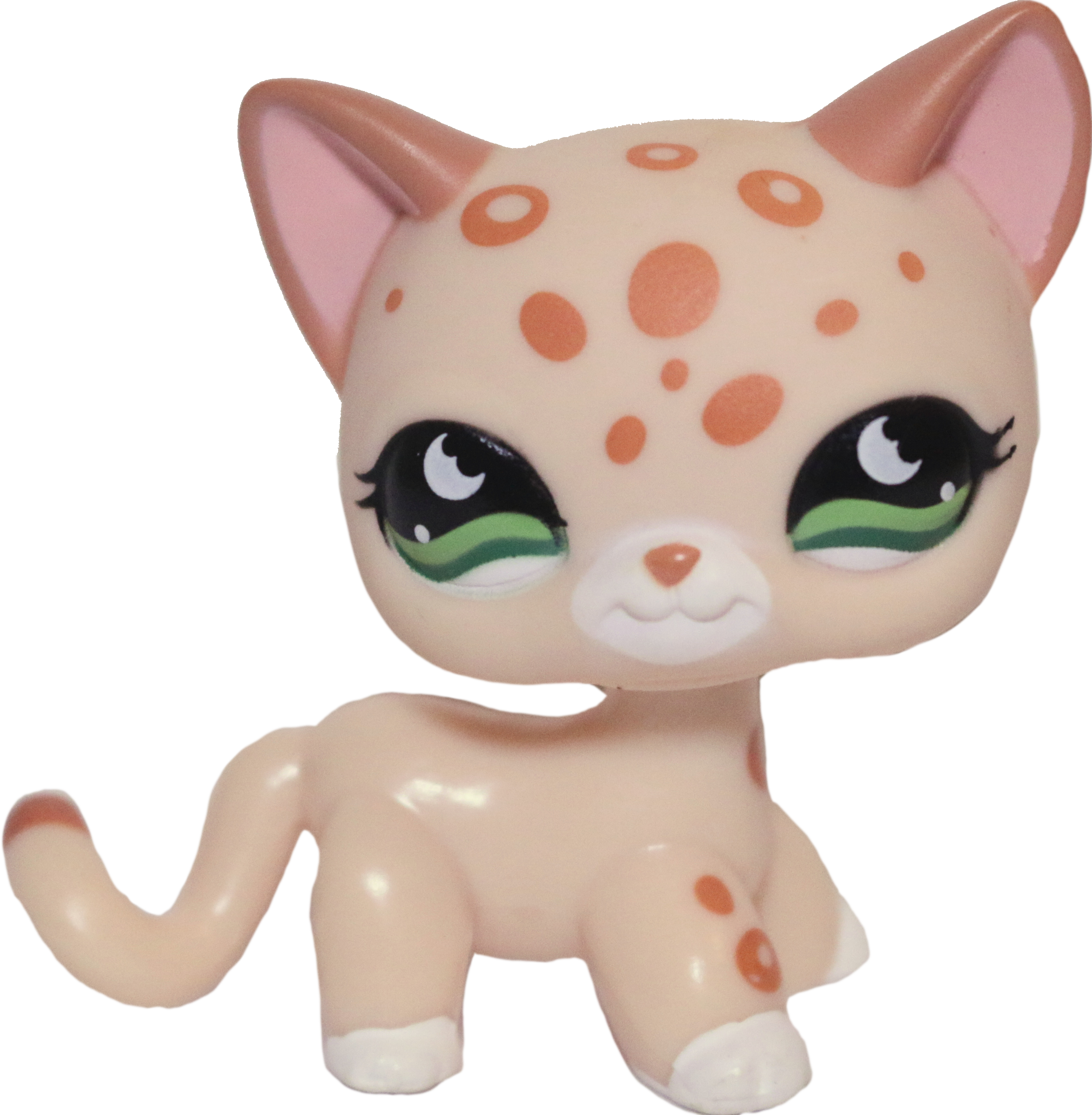 Lps png shorthair deals cat