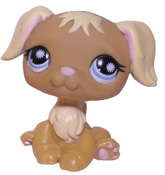 #0951 Golden Retriever