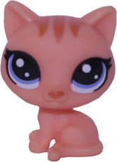 #1-103 Teensy Kitten "Bree Bengali"