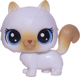 #1-104 Himalayan Cat "Himalia Cattrick"