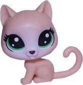 #1-105 Mini Cat "Whiskers Katerly"