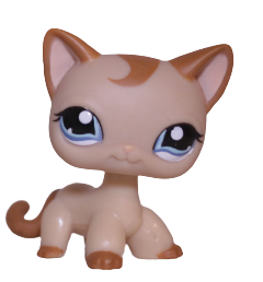 Lps shorthair cat 1024 online
