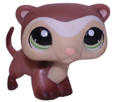 #1026 Ferret