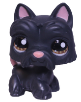 #1034 Scottish Terrier