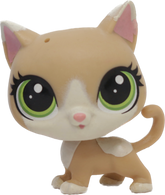 #118 Kitten "Kochka Pawsky"