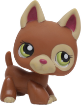 #1362 German Shepherd