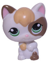 #1461 Standing Kitten