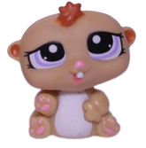#1479 Hamster