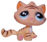 #1608 Sitting Bonbon Cat