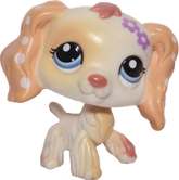 #1615 Cocker Spaniel