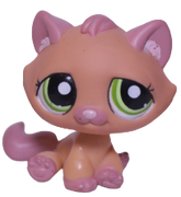 #1710 Sitting Bonbon Cat