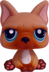 #1847 French Bulldog