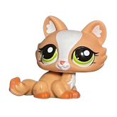 #1868 Crouching Kitten