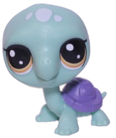 #2-52 Turtle "Tim Turtles"