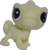 #2-57 Teensy Chameleon "Gavin Chamelle"