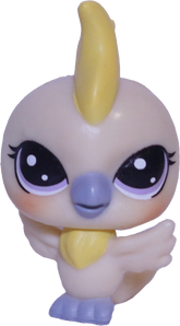 #2-65 Mini Cockatoo "Inga Cockatutu"