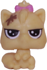 #2-75 Teensy Persian Kitten "Kittylina Scrapper"