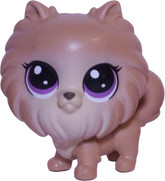 #2-90 Mini Pomeranian "Sweetie Pom-Pom"